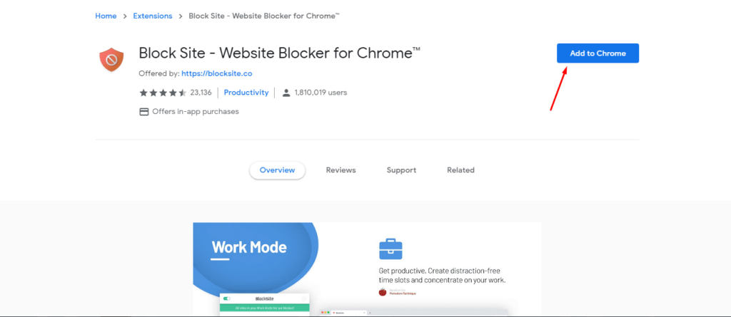 Block websites using Block Site