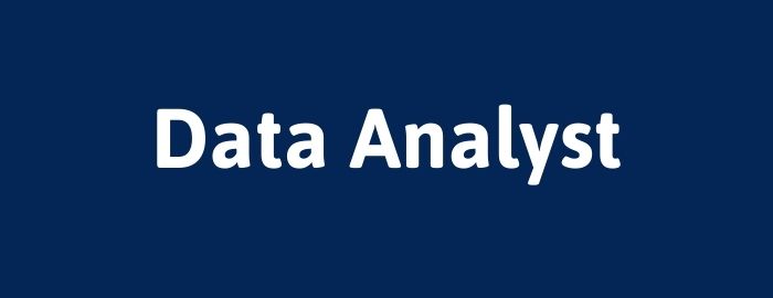 Data Analyst