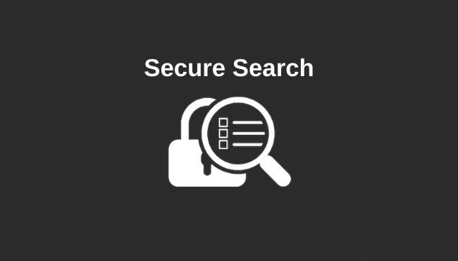 Secure Search