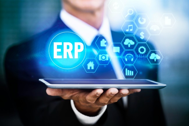 ERP Consulting Services